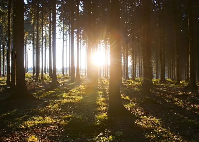 Mettenberg بيت للعطل